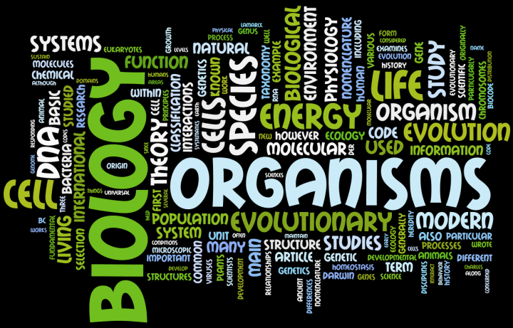 Pilihan Jurusan Kuliah untuk Kamu yang Suka Pelajaran Biologi