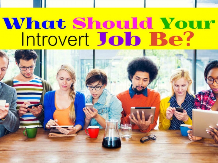 Pilihan Pekerjaan dengan Gaji Tinggi Buat Kamu yang Nggak Suka Berinteraksi dengan Orang Lain - Cocok Nih Buat si Introvert!