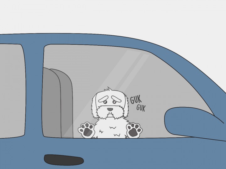 Bicara Soal Kasus Anjing yang Ditelantarkan Pemiliknya di Dalam Mobil: Saat Manusia Gagal Bertindak Seperti Manusia