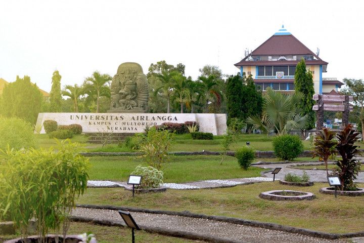 Peluang Masuk Universitas Airlangga di SBMPTN 2019