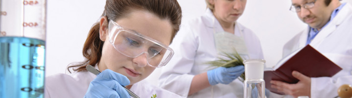 Ragam Pilihan Profesi untuk Lulusan Kimia Murni