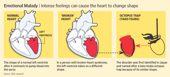 Broken Heart Syndrom 1- Youthmanual